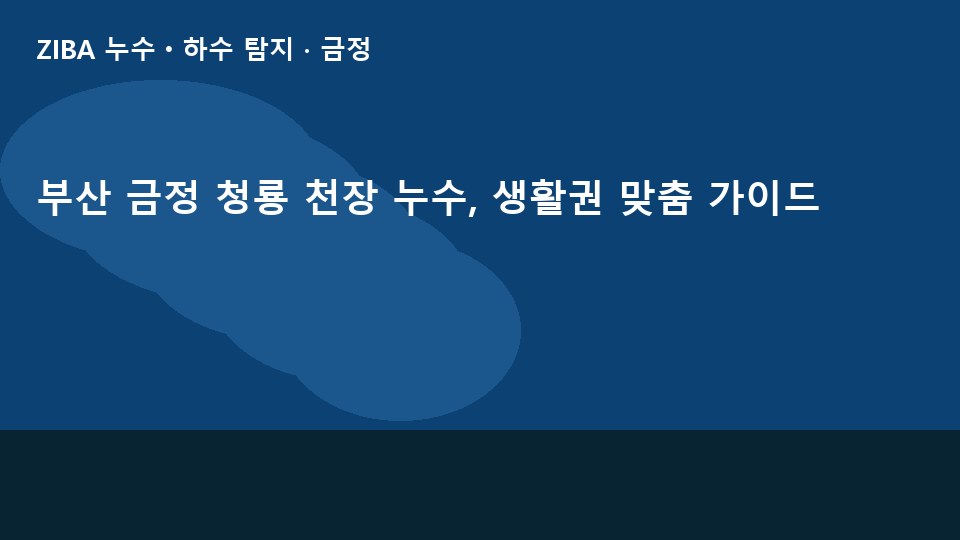 부산 금정 청룡 천장 누수, 생활권 맞춤 가이드