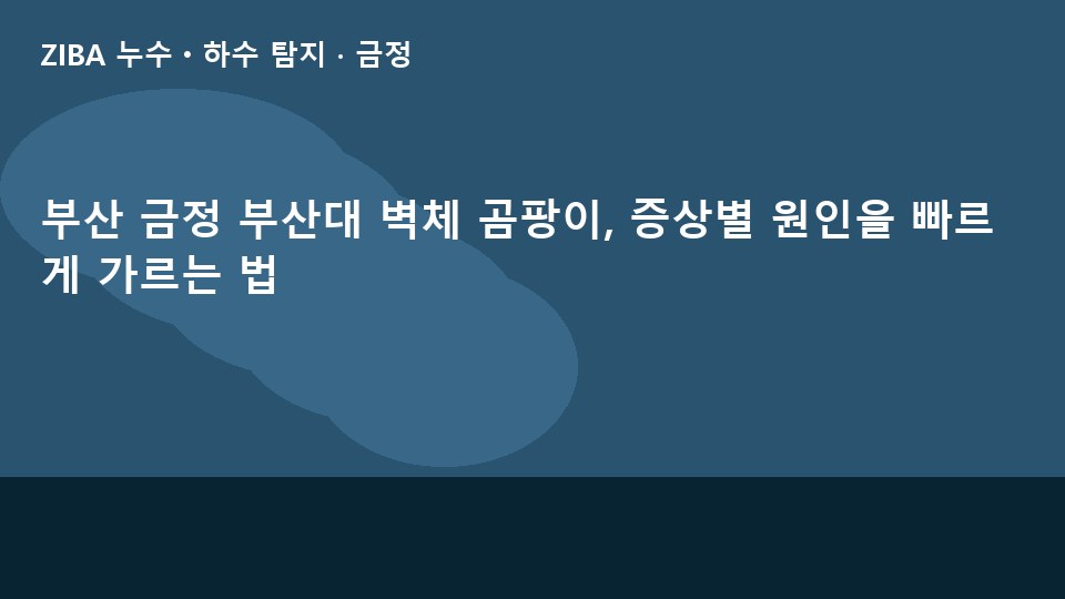 부산 금정 부산대 벽체 곰팡이, 증상별 원인을 빠르게 가르는 법