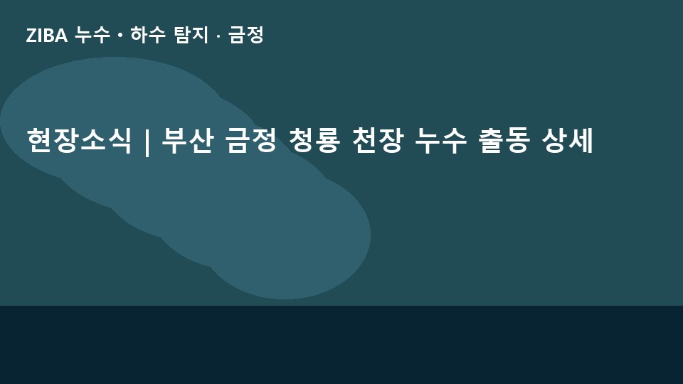 현장소식 | 부산 금정 청룡 천장 누수 출동 상세