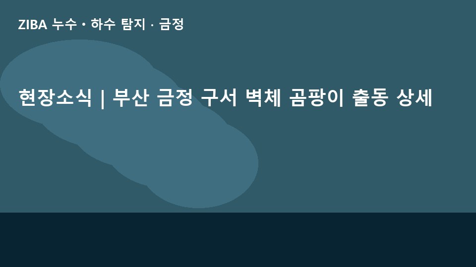 현장소식 | 부산 금정 구서 벽체 곰팡이 출동 상세